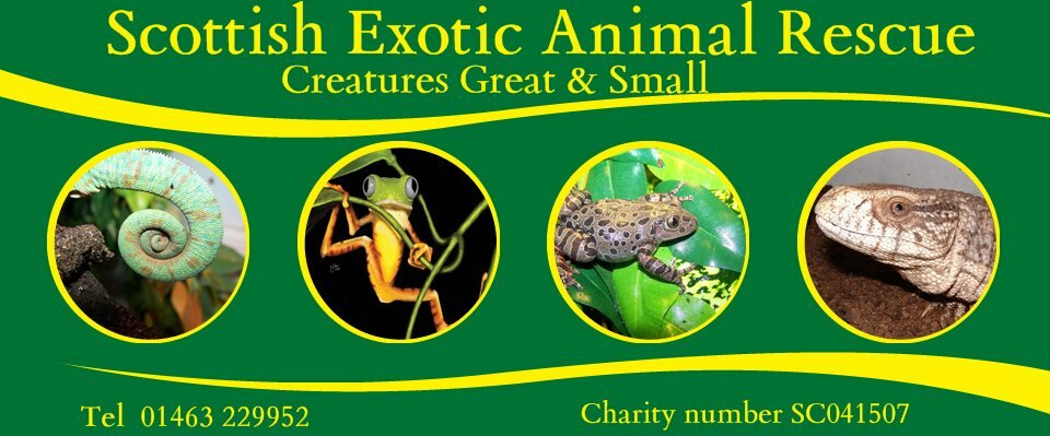 Scottish Exotic Animal Rescue - Nick Martin's