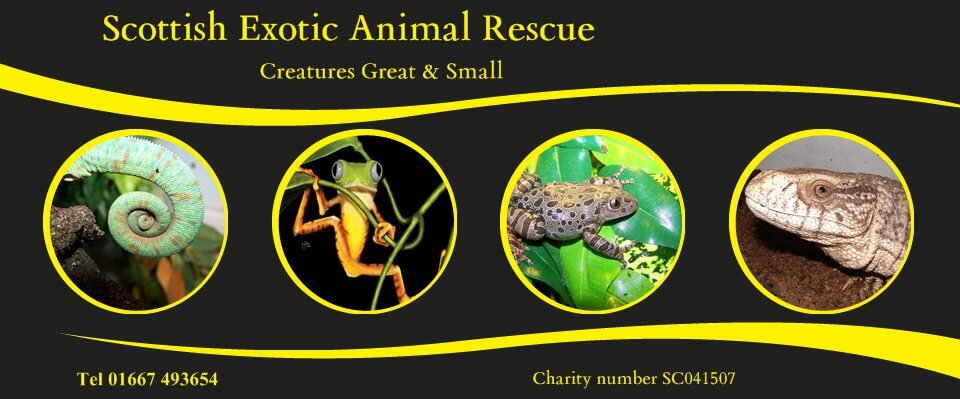 Scottish Exotic Animal Rescue - Nick Martin's